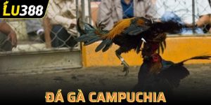 đá gà Campuchia