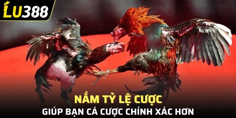 Nắm tỷ lệ cược giúp bạn cá cược chính xác hơn