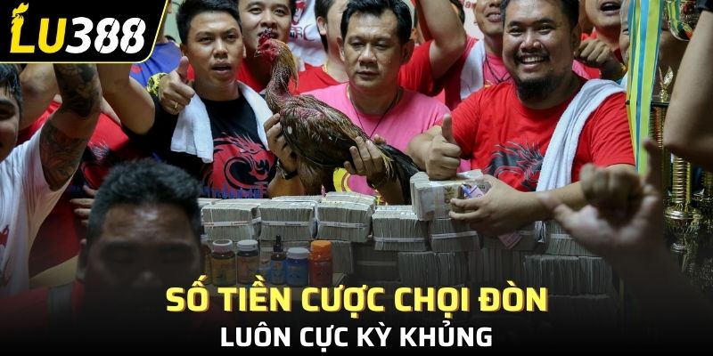 Số tiền cược chọi đòn luôn cực kỳ khủng