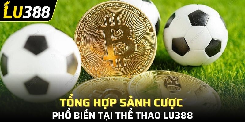 Tổng hợp sảnh cược phổ biến tại thể thao Lu388